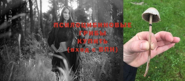 apvp Белоозёрский