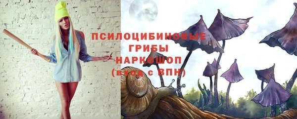 стаф Беломорск